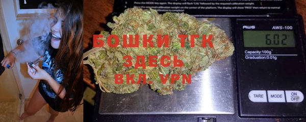 тгк Алексин