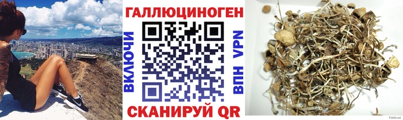 Галлюциногенные грибы Psilocybine cubensis  Армянск 