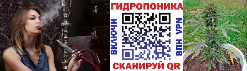 Бошки Шишки план  Армянск 
